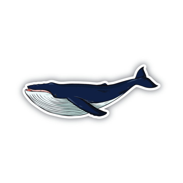 Apportez la beauté de l'océan à votre vie quotidienne avec ce Blue Whale Sticker ! Le plus grand mammifère sur Terre 💙. Parfait pour décorer les ordinateurs portables, les bouteilles d'eau, les cahiers et tout d'autre vous pouvez penser. Montrez votre amour pour la faune et l'océan en ajoutant une touche de nature à votre routine quotidienne !